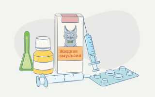 Как лечить человека от глистов животного