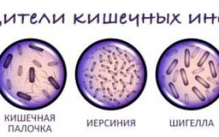 Исследование кала на энтеробиоз и дизгруппу