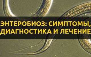 Все игры на энтеробиоз