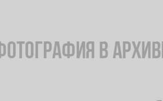 Статья роспотребнадзора по отравлениям грибами