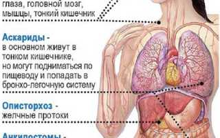 Палочки для чистки лица от паразитов