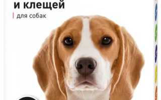 Лучшие ошейники от паразитов для собак