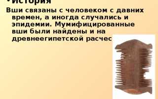 Классный час на тему педикулез корь