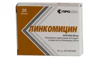 Линкомицин и кишечная палочка
