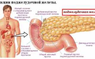 Панкреатит и холецистит из за паразитов