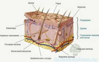 Поверхностные микозы по локализации разделяют на