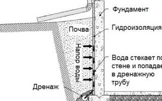 Современные методы исследования лямблий